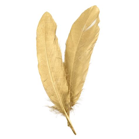 Golden feather - Dream about Golden Feather signals life, fertility, rejuvenation and spring. You are feeling out of place. You are exploring and accessing your unused potential, abilities and talents. This dream is a metaphor for fear of intimacy. You may need to take some time to cleanse your mind and find internal peace. Golden Feather signifies the holiday ...